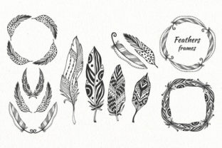 Download Vector Feathers Pack - Vector Collection