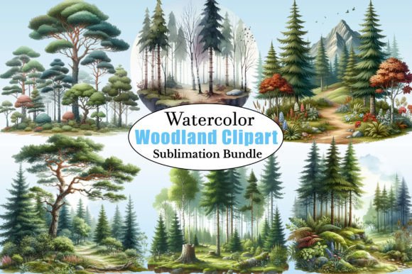 Download Watercolor Forest Clipart - Woodland Png - Premium Resources